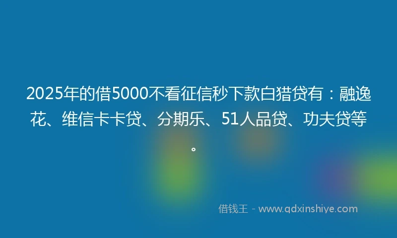 2025年的借5000不看征信秒下款白猎贷有:融逸花、维信卡卡贷、分期乐、51人品贷、功夫贷等。