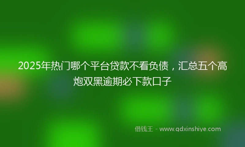 2025年热门哪个平台贷款不看负债，汇总五个高炮双黑逾期必下款口子