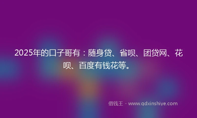 2025年的口子哥有：随身贷、省呗、团贷网、花呗、百度有钱花等。
