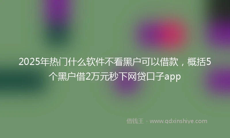 2025年热门什么软件不看黑户可以借款，概括5个黑户借2万元秒下网贷口子app