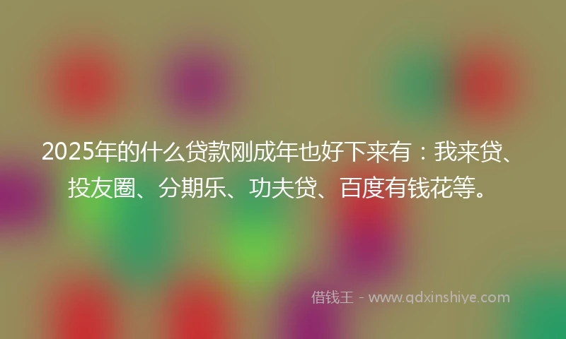 2025年的什么贷款刚成年也好下来有：我来贷、投友圈、分期乐、功夫贷、百度有钱花等。