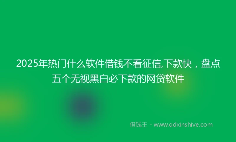 2025年热门什么软件借钱不看征信,下款快，盘点五个无视黑白必下款的网贷软件