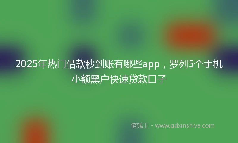 2025年热门借款秒到账有哪些app，罗列5个手机小额黑户快速贷款口子