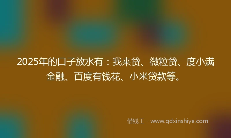 2025年的口子放水有：我来贷、微粒贷、度小满金融、百度有钱花、小米贷款等。