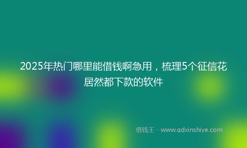 2025年热门哪里能借钱啊急用，梳理5个征信花居然都下款的软件