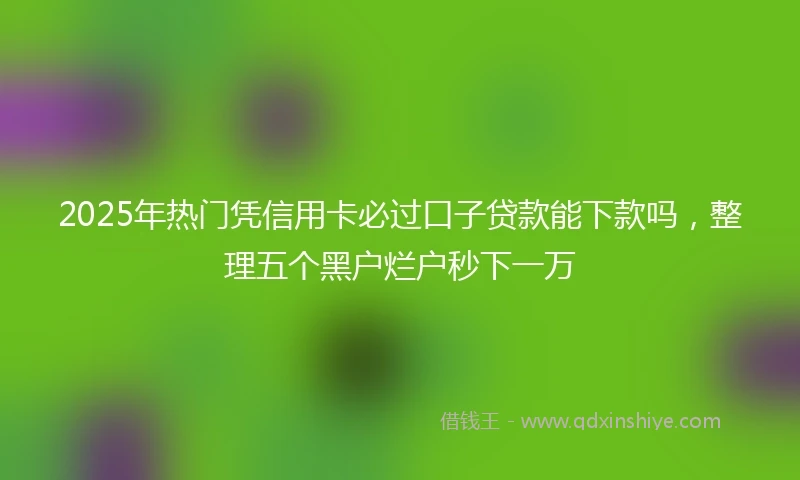 2025年热门凭信用卡必过口子贷款能下款吗，整理五个黑户烂户秒下一万