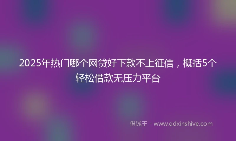 2025年热门哪个网贷好下款不上征信，概括5个轻松借款无压力平台