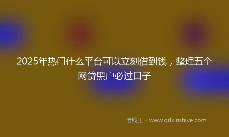 2025年热门什么平台可以立刻借到钱，整理五个网贷黑户必过口子
