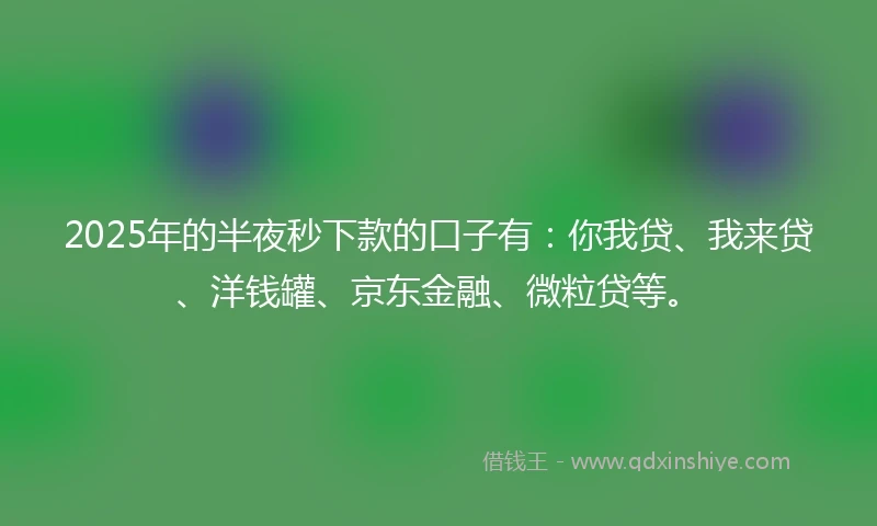 2025年的半夜秒下款的口子有：你我贷、我来贷、洋钱罐、京东金融、微粒贷等。