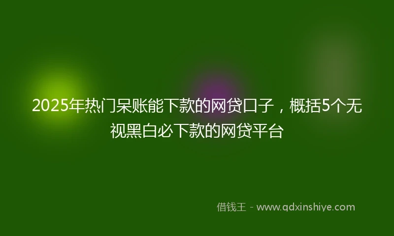 2025年热门呆账能下款的网贷口子，概括5个无视黑白必下款的网贷平台