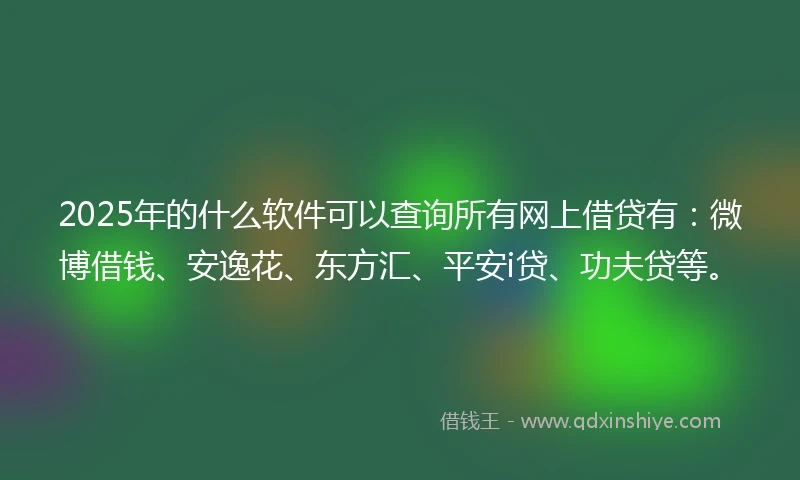 2025年的什么软件可以查询所有网上借贷有：微博借钱、安逸花、东方汇、平安i贷、功夫贷等。