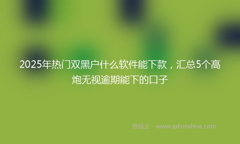 2025年热门双黑户什么软件能下款，汇总5个高炮无视逾期能下的口子