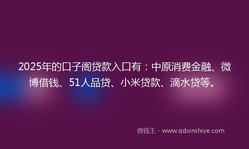 2025年的口子阁贷款入口有：中原消费金融、微博借钱、51人品贷、小米贷款、滴水贷等。