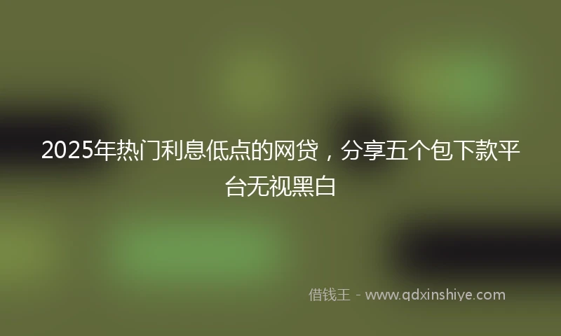 2025年热门利息低点的网贷，分享五个包下款平台无视黑白