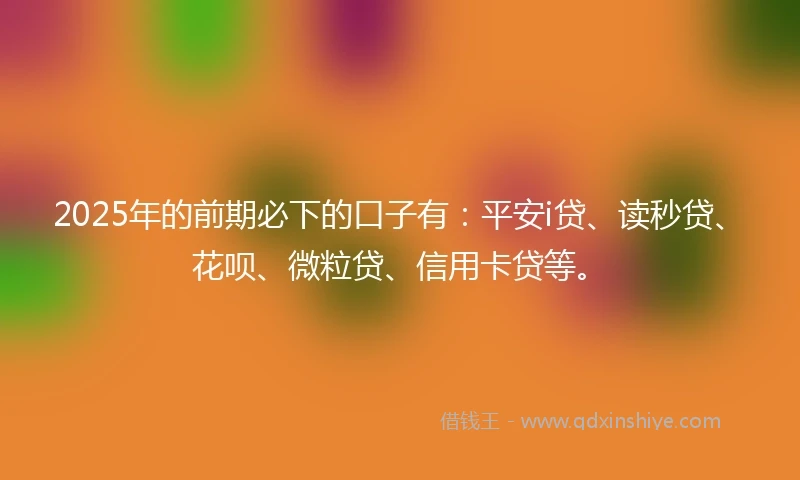 2025年的前期必下的口子有：平安i贷、读秒贷、花呗、微粒贷、信用卡贷等。