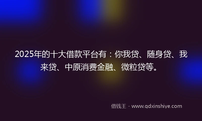 2025年的十大借款平台有：你我贷、随身贷、我来贷、中原消费金融、微粒贷等。