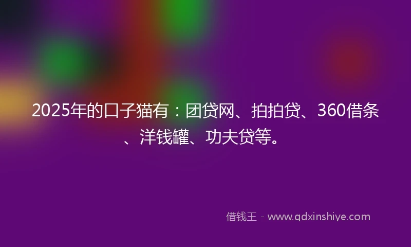 2025年的口子猫有：团贷网、拍拍贷、360借条、洋钱罐、功夫贷等。