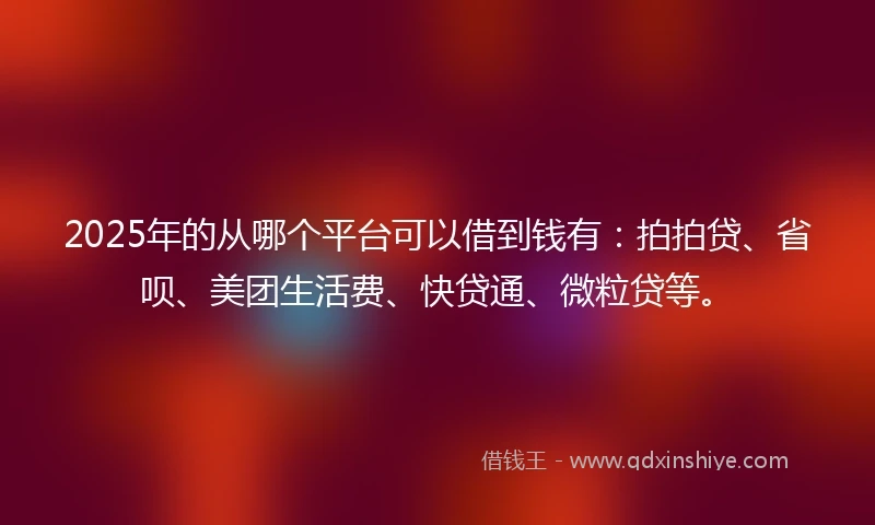 2025年的从哪个平台可以借到钱有：拍拍贷、省呗、美团生活费、快贷通、微粒贷等。