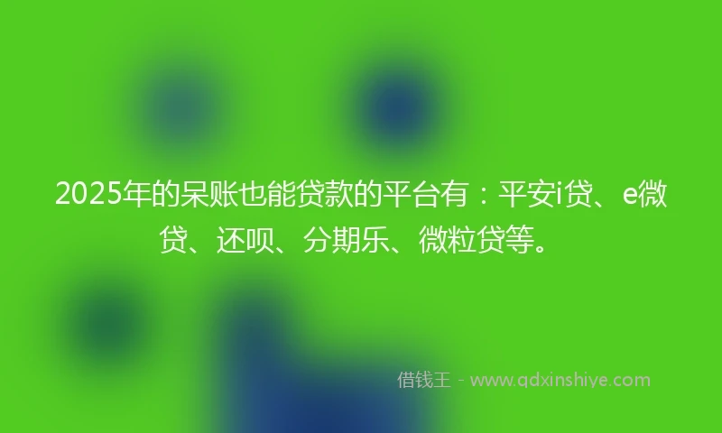 2025年的呆账也能贷款的平台有：平安i贷、e微贷、还呗、分期乐、微粒贷等。