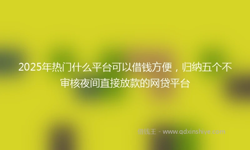 2025年热门什么平台可以借钱方便，归纳五个不审核夜间直接放款的网贷平台