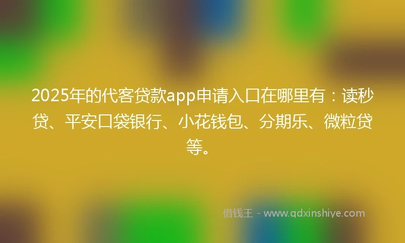 2025年的代客贷款app申请入口在哪里有：读秒贷、平安口袋银行、小花钱包、分期乐、微粒贷等。