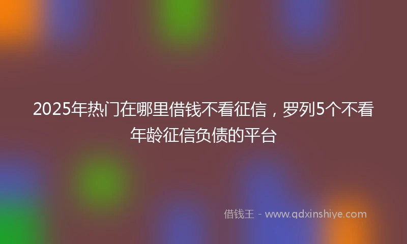 2025年热门在哪里借钱不看征信，罗列5个不看年龄征信负债的平台