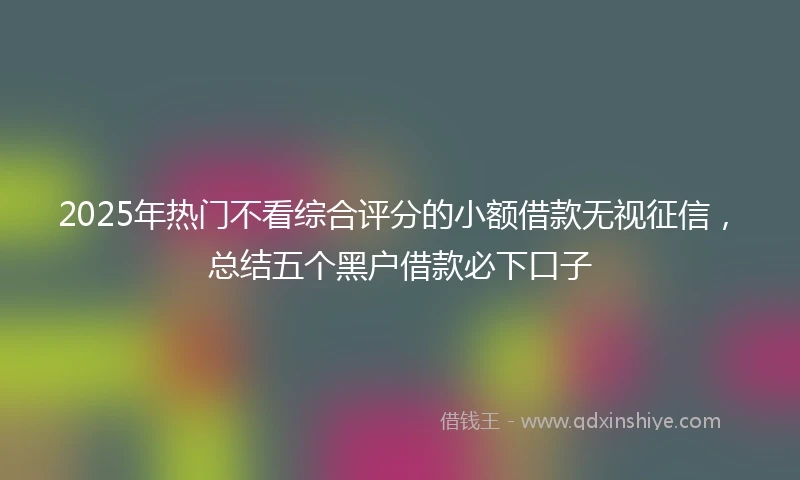 2025年热门不看综合评分的小额借款无视征信，总结五个黑户借款必下口子
