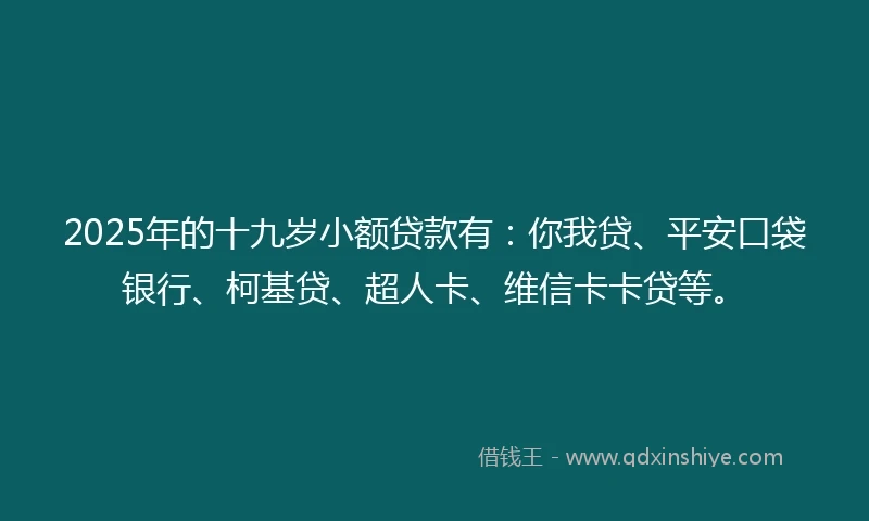 2025年的十九岁小额贷款有：你我贷、平安口袋银行、柯基贷、超人卡、维信卡卡贷等。