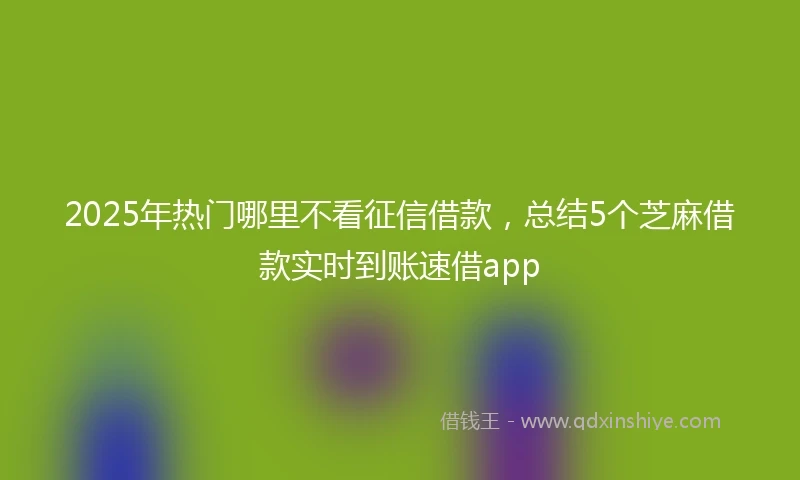2025年热门哪里不看征信借款，总结5个芝麻借款实时到账速借app