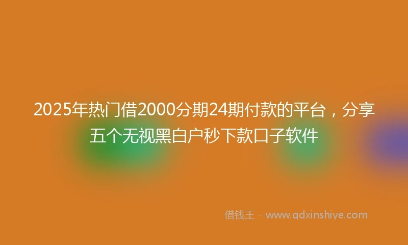 2025年热门借2000分期24期付款的平台,分享五个无视黑白户秒下款口子软件