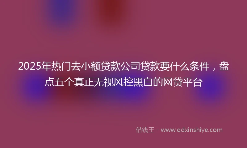 2025年热门去小额贷款公司贷款要什么条件，盘点五个真正无视风控黑白的网贷平台