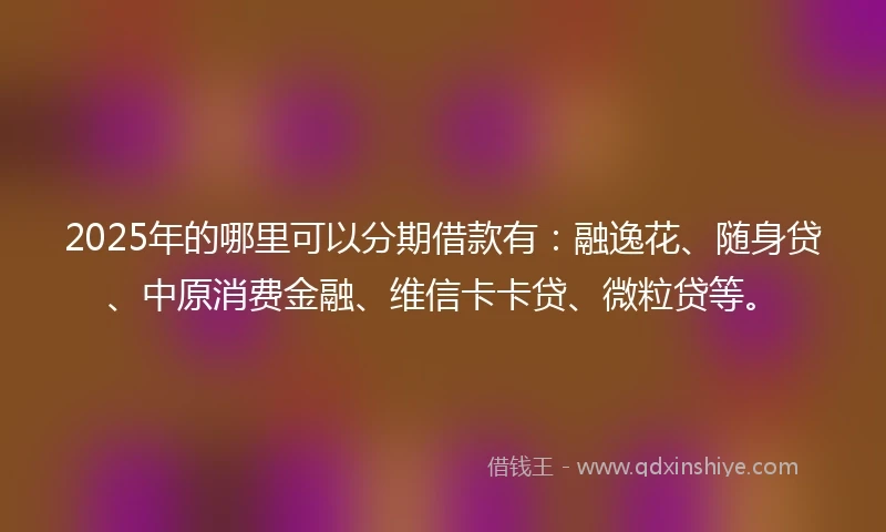 2025年的哪里可以分期借款有：融逸花、随身贷、中原消费金融、维信卡卡贷、微粒贷等。