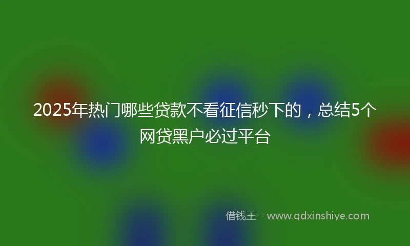 2025年热门哪些贷款不看征信秒下的，总结5个网贷黑户必过平台