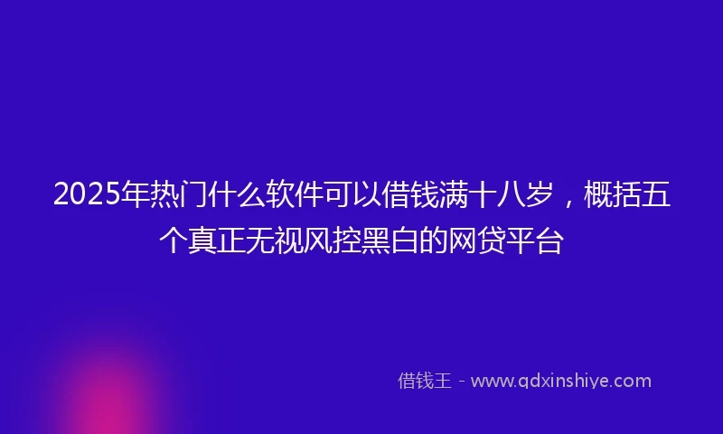 2025年热门什么软件可以借钱满十八岁，概括五个真正无视风控黑白的网贷平台