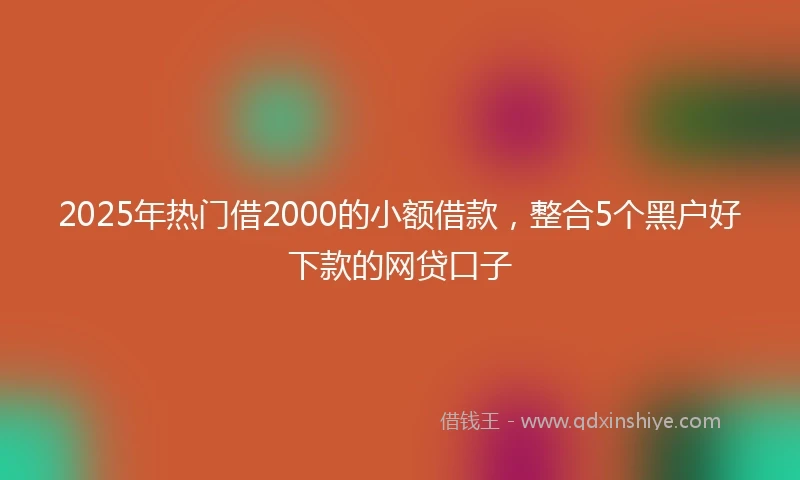 2025年热门借2000的小额借款，整合5个黑户好下款的网贷口子