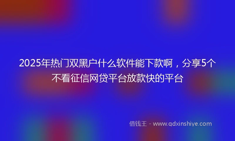 2025年热门双黑户什么软件能下款啊，分享5个不看征信网贷平台放款快的平台