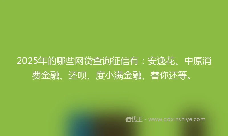 2025年的哪些网贷查询征信有：安逸花、中原消费金融、还呗、度小满金融、替你还等。