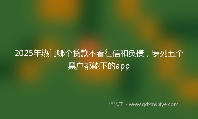 2025年热门哪个贷款不看征信和负债，罗列五个黑户都能下的app