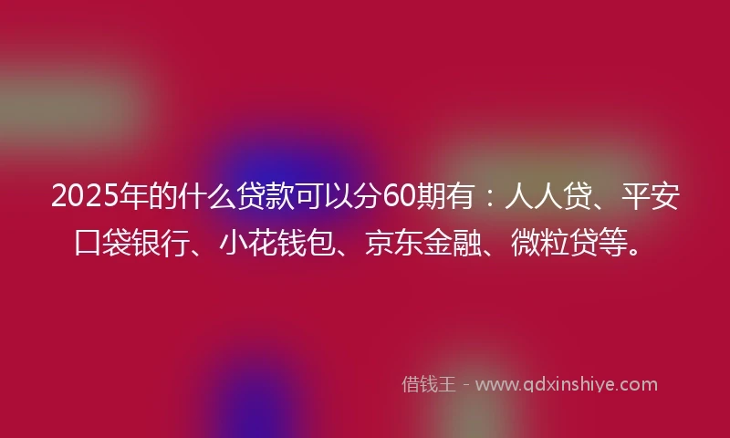 2025年的什么贷款可以分60期有：人人贷、平安口袋银行、小花钱包、京东金融、微粒贷等。