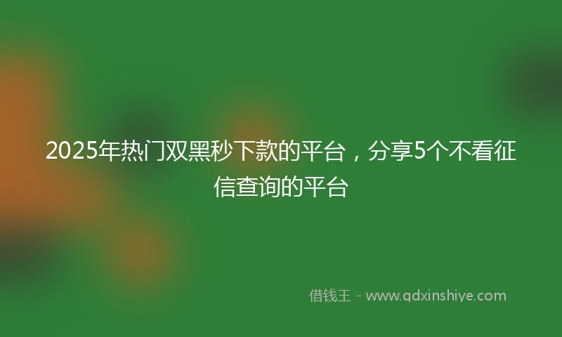 2025年热门双黑秒下款的平台，分享5个不看征信查询的平台