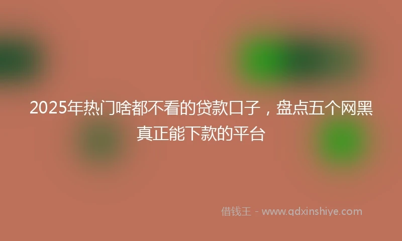 2025年热门啥都不看的贷款口子，盘点五个网黑真正能下款的平台