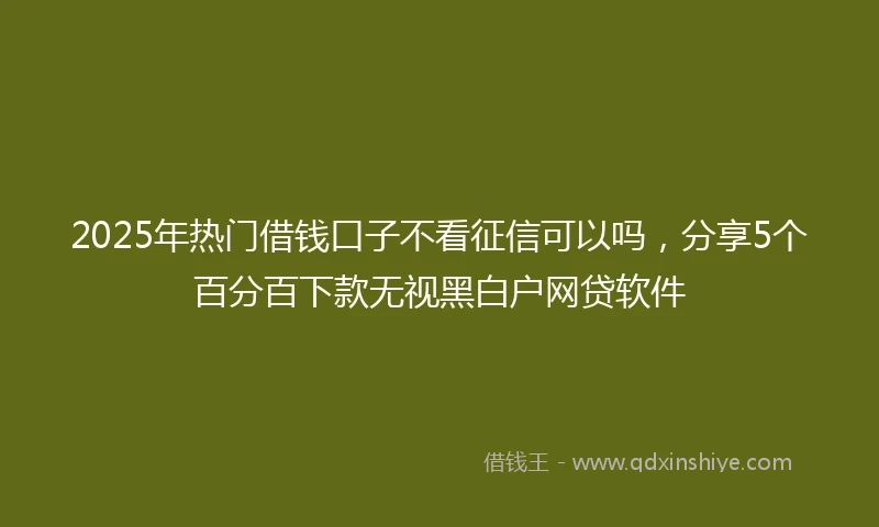 2025年热门借钱口子不看征信可以吗，分享5个百分百下款无视黑白户网贷软件