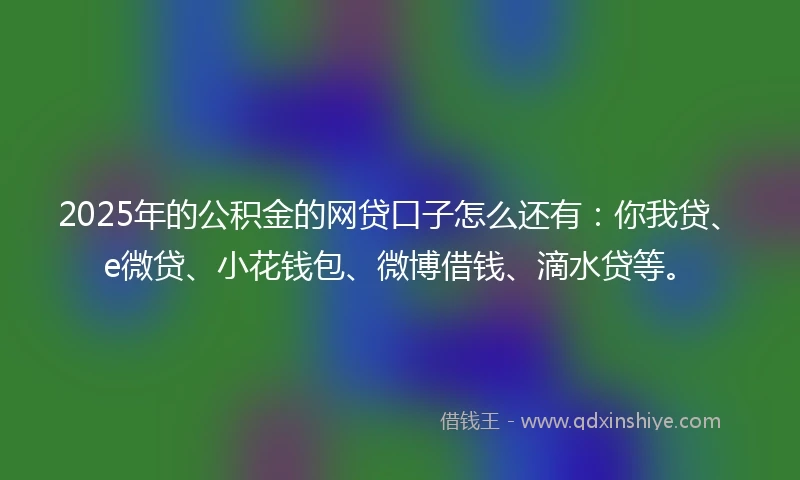 2025年的公积金的网贷口子怎么还有：你我贷、e微贷、小花钱包、微博借钱、滴水贷等。
