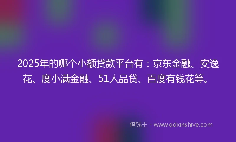 2025年的哪个小额贷款平台有：京东金融、安逸花、度小满金融、51人品贷、百度有钱花等。