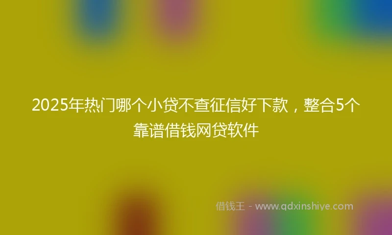 2025年热门哪个小贷不查征信好下款，整合5个靠谱借钱网贷软件