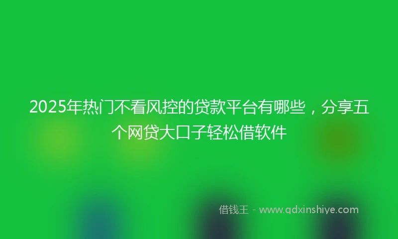 2025年热门不看风控的贷款平台有哪些,分享五个网贷大口子轻松借软件