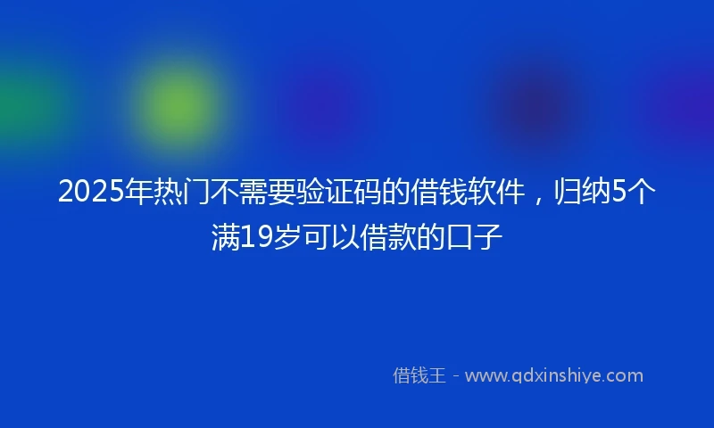 2025年热门不需要验证码的借钱软件，归纳5个满19岁可以借款的口子