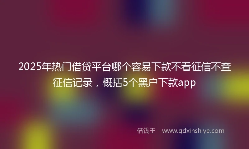 2025年热门借贷平台哪个容易下款不看征信不查征信记录，概括5个黑户下款app
