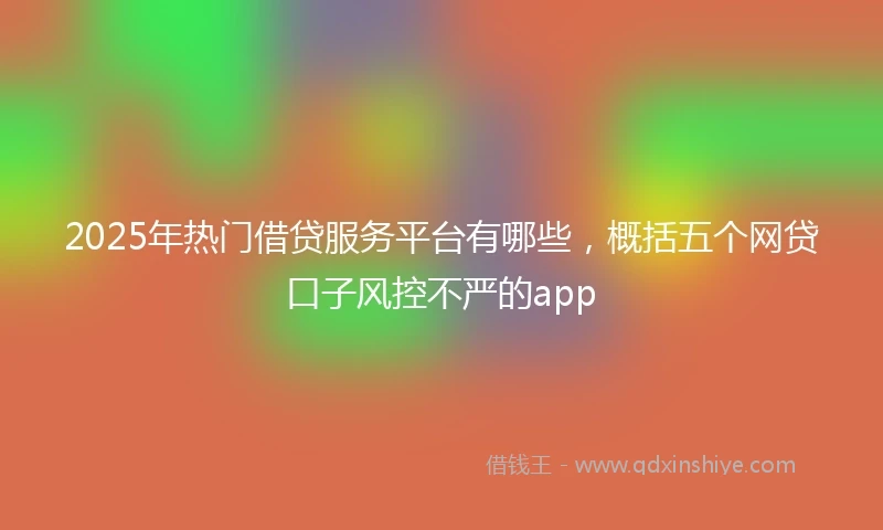 2025年热门借贷服务平台有哪些，概括五个网贷口子风控不严的app
