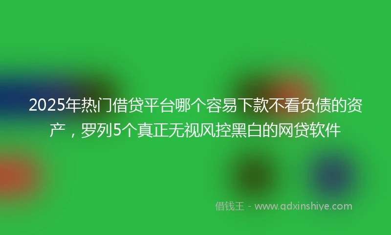 2025年热门借贷平台哪个容易下款不看负债的资产，罗列5个真正无视风控黑白的网贷软件